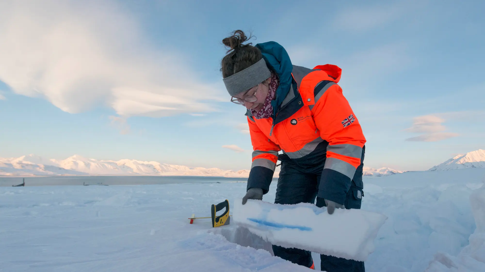 Moser examining the results of an experiment using blue food dye on snow. Credit: Iain Rudkin