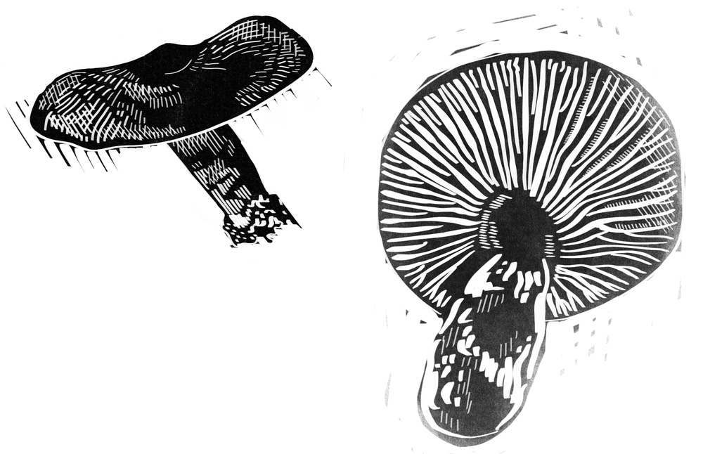 Illustration of microbes