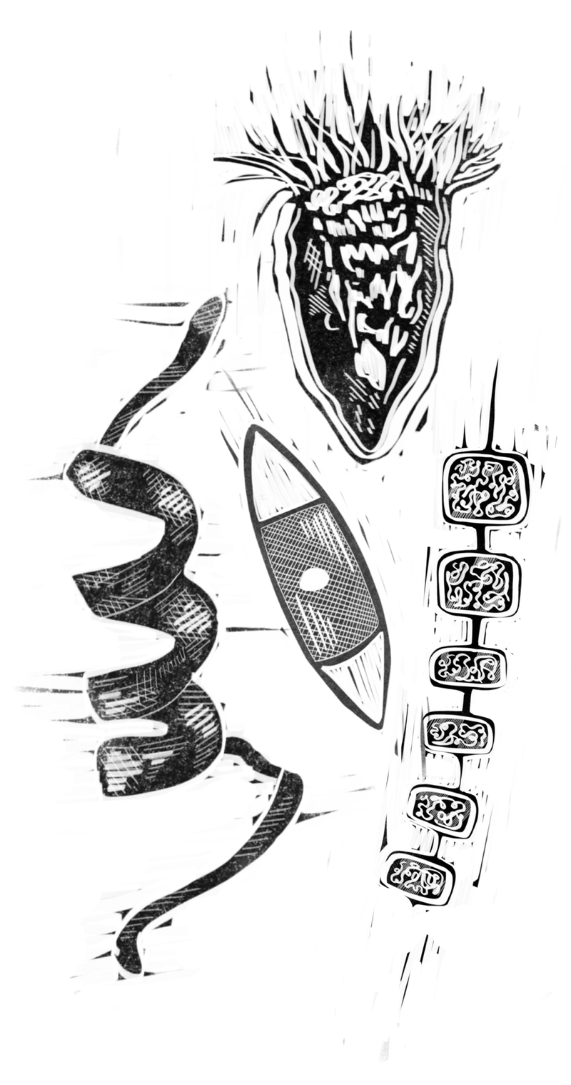 Illustration of microbes