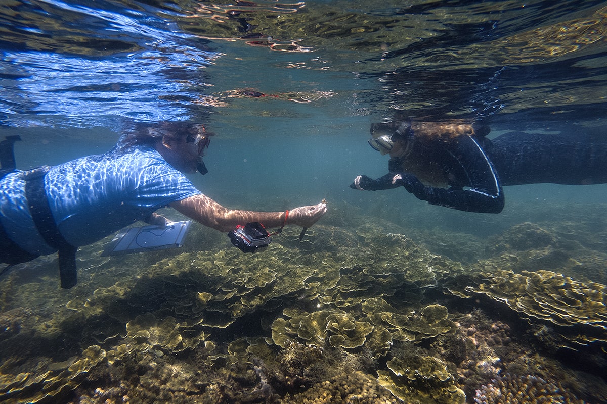 Prof Andrew Baird shows a cracked staghorn coral to journalist Daisy Dunne