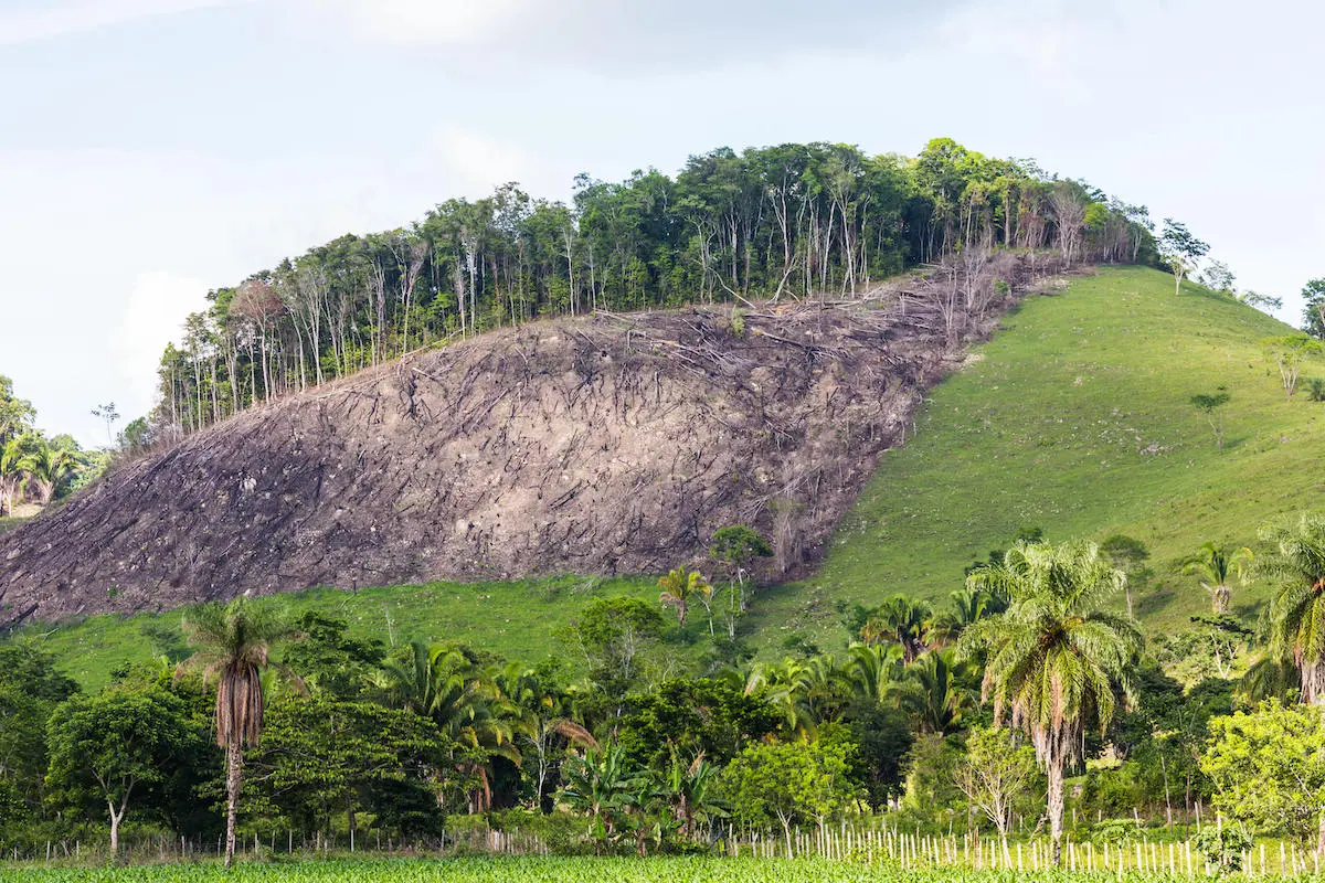 Photo of deforestation in Guatemala