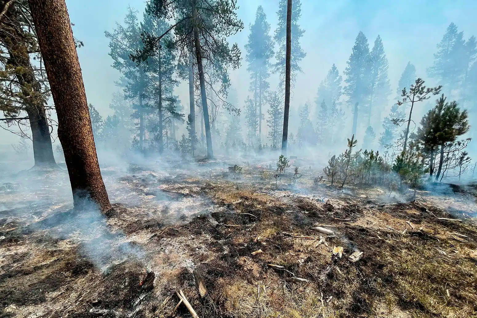 The Bootleg Fire is seen smoldering in southern Oregon, 17 July 2021. Credit: Associated Press / Alamy Stock Photo.