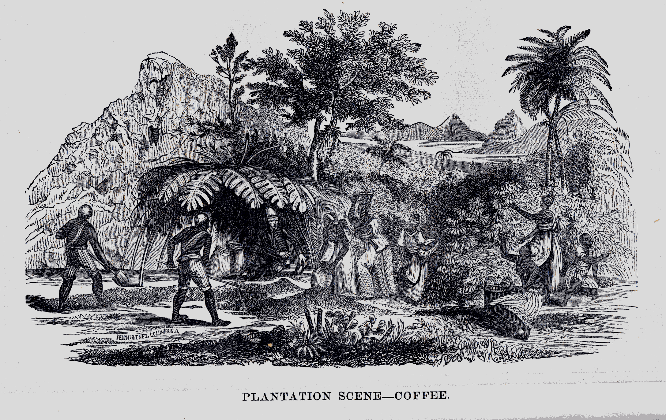 men and women gathering and drying coffee beans