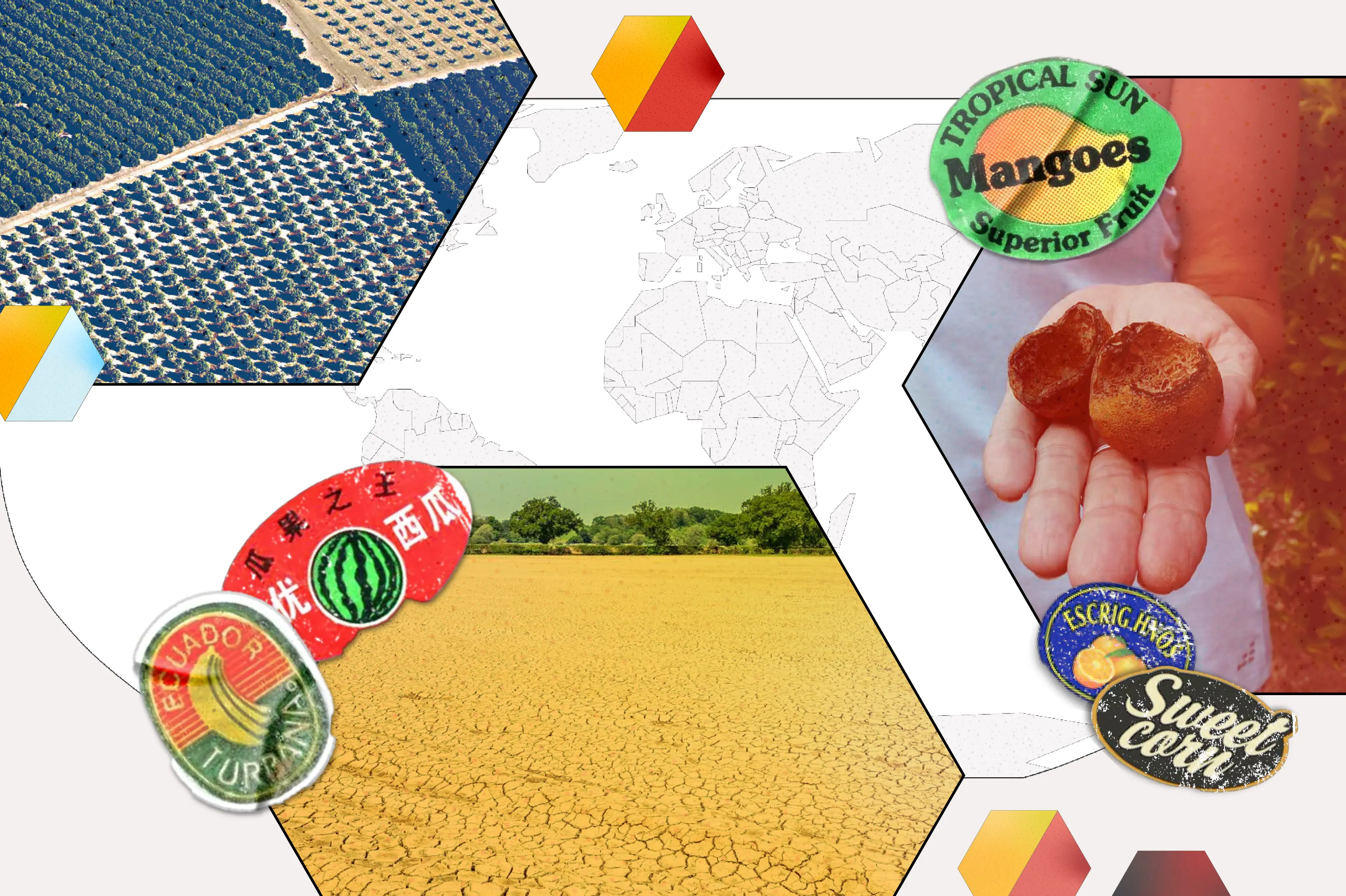 Destroy Crops Mapped: How extreme weather is destroying crops around the world