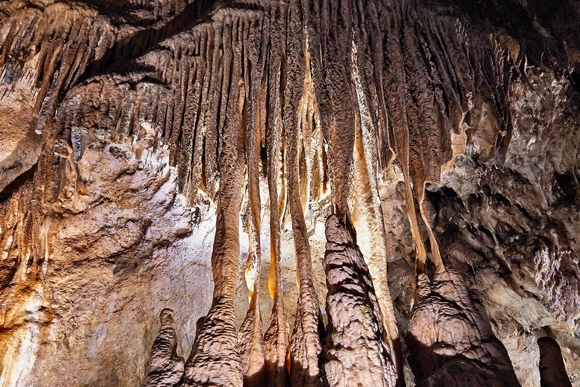 Stalagmites in Han-sur-Lesse caverns, Belgium. Credit: Bombaert Patrick / Alamy Stock Photo.