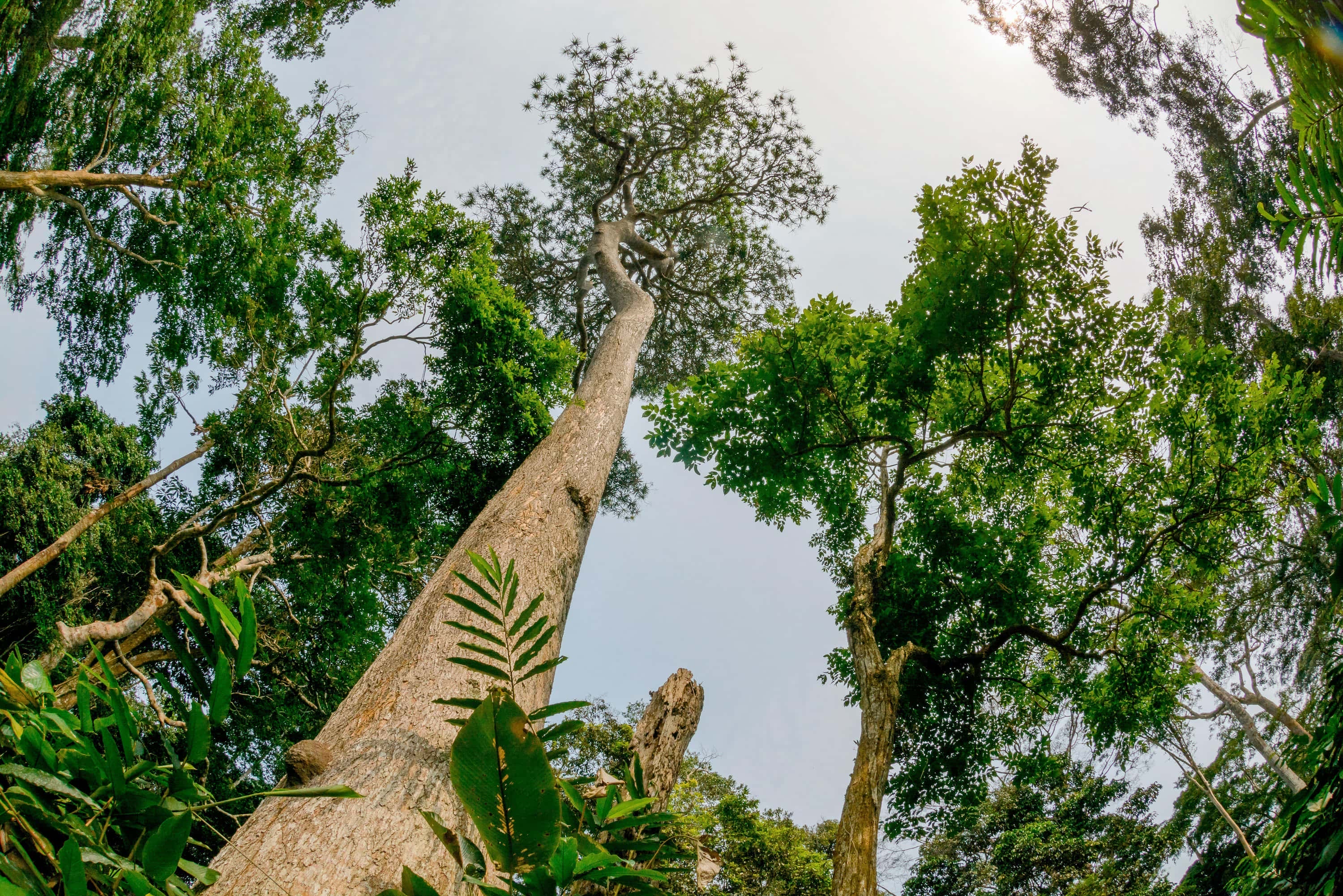 COP17: Tracking progress towards the UN’s 2030 nature targets