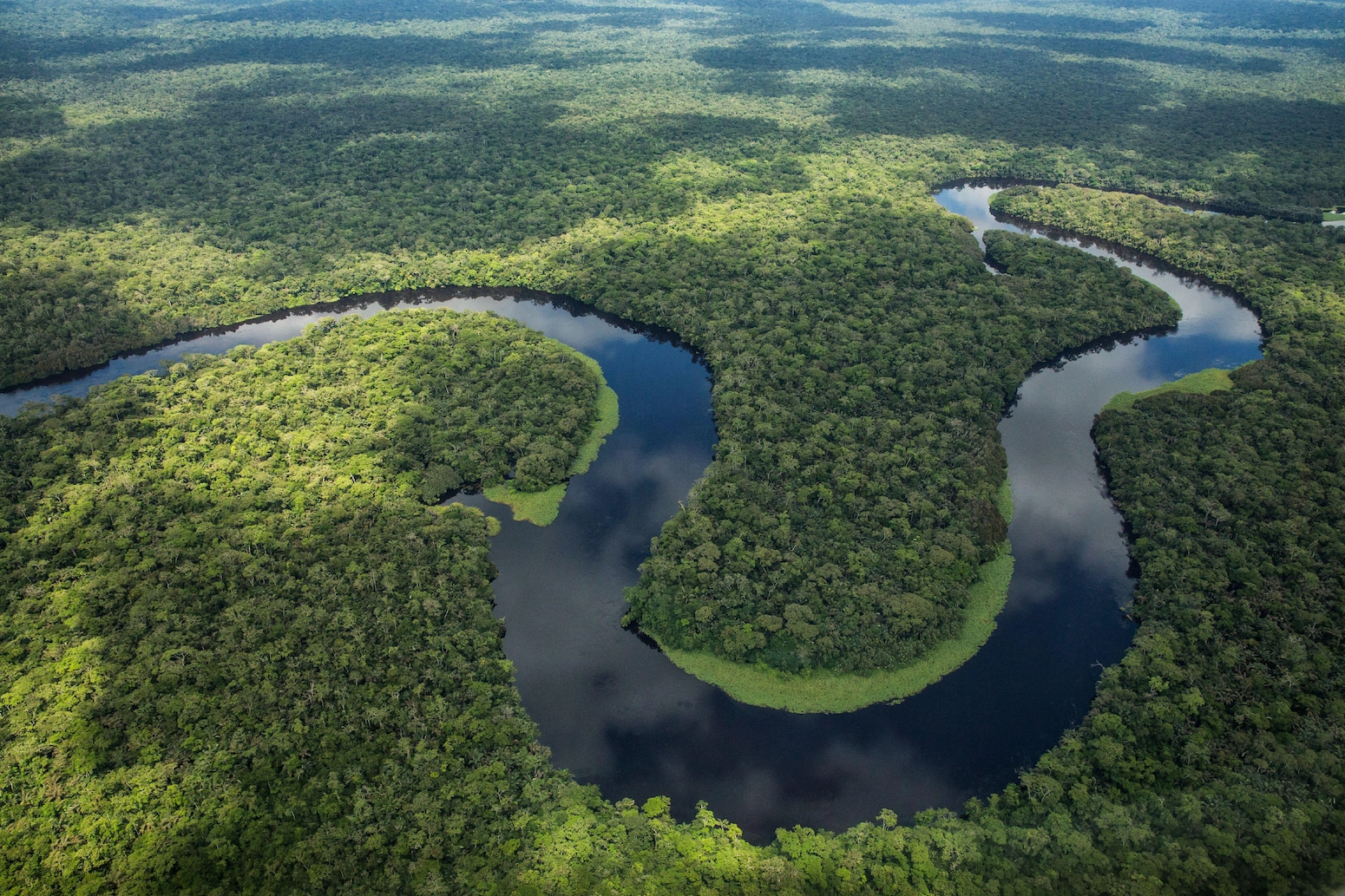 Tropical rainforest and meandering river in Salonga National Park, Democratic Republic of Congo