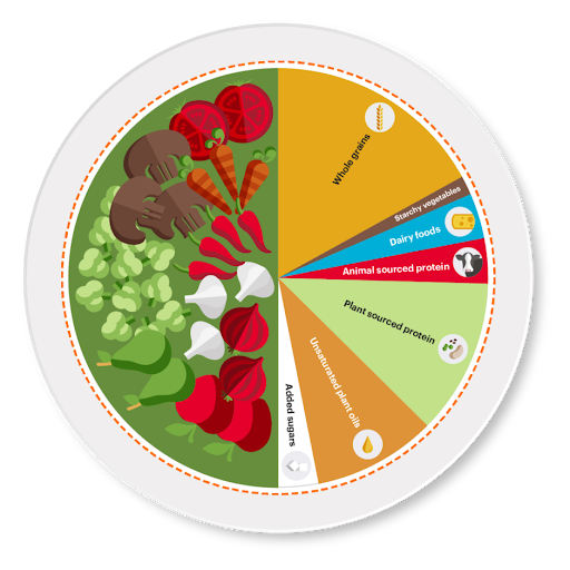 GRAIN  How much of world's greenhouse gas emissions come from agriculture?