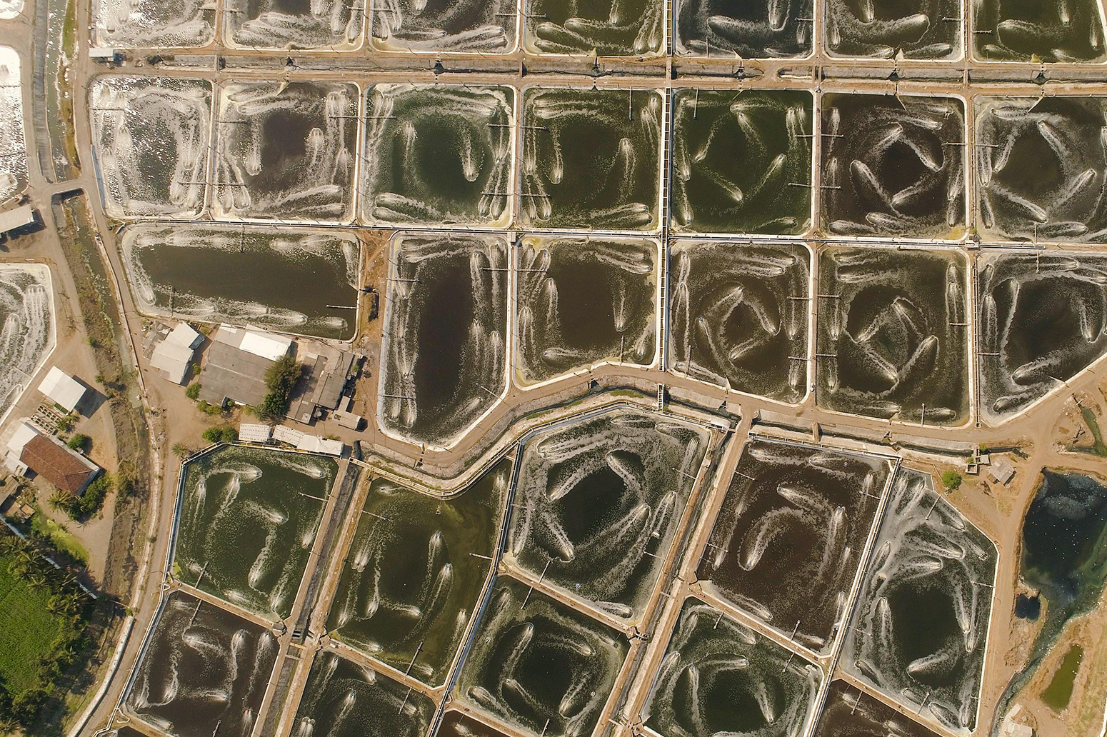 Aerial view fish farm in Java, Indonesia, with ponds growing fish and shrimp and other seafood. Credit: Alexey Kornylyev / Alamy Stock Photo.